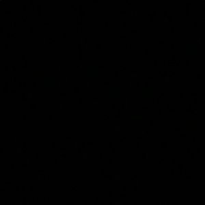 Meet your Posher, Destiny